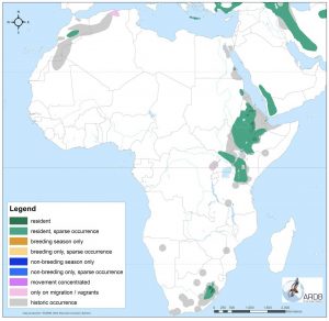 About African Vultures – Vulpro