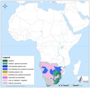 About African Vultures – Vulpro