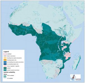 About African Vultures – Vulpro